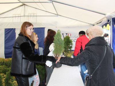 Na stoisku powiatu przy konkursie ekologicznym