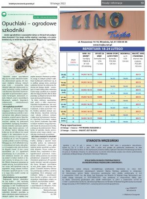 „Przegląd Powiatowy” nr 350, strona 13