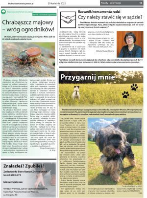 Przegląd Powiatowy nr 355, strona 13