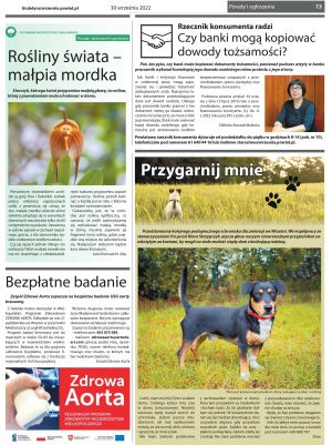 Przegląd Powiatowy nr 363, strona 13