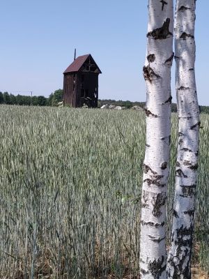 Fotoart - zdjęcie konkursowe