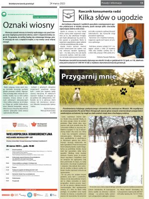 Przegląd Powiatowy nr 373, strona 13