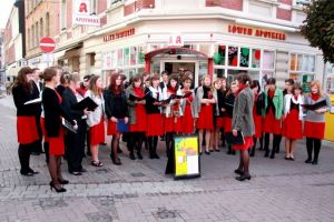 Eurotreff - festiwal w Wolfenbüttel (fot. J. Drozda)