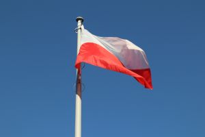 Uroczystość patriotyczna 8 maja