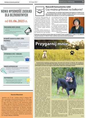 Przegląd Powiatowy nr 376, strona 13