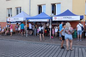 IX Powiatowy Piknik Naukowy - galeria