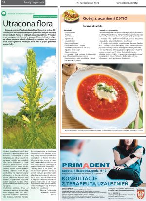 Przegląd Powiatowy nr 381