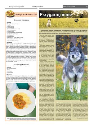 Przegląd Powiatowy nr 382 - strona 13