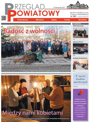 Przegląd Powiatowy nr 383 - strona 01