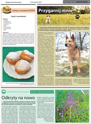 Przegląd Powiatowy nr 383 - strona 13