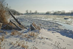 Brzeg Warty, okolice Pyzdr (fot. M. Sobczak - Fotodialog)