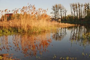 Zalew wrzesiński, Psary Polskie (fot. Kinga Plucińska)