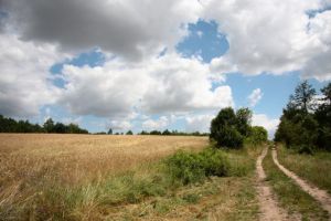 Okolice Sokolnik (fot. J. Drozda)