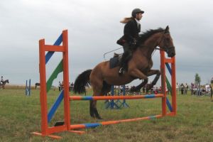 Zawody jeździeckie Bardo Cup 2010 (fot. archiwum PP)