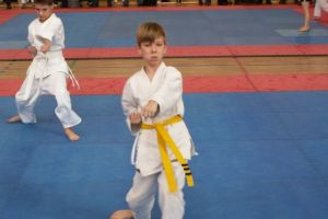 Puchar Wielkopolski w karate sportowym 2009 (fot. archiwum PP)