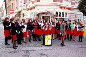 Eurotreff - festiwal w Wolfenbüttel 2009