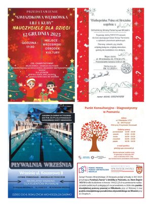 Przeglad-Powiatowy-nr-410-s020