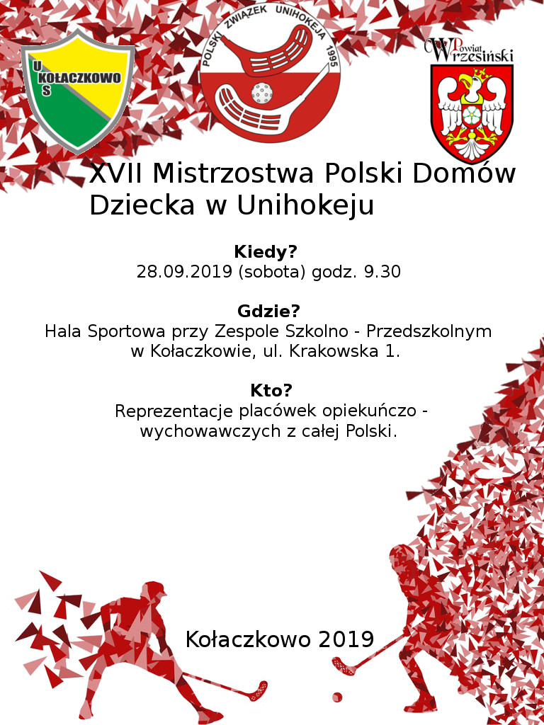 XVII Mistrzostwa Polski Domów Dziecka w Unihokeju