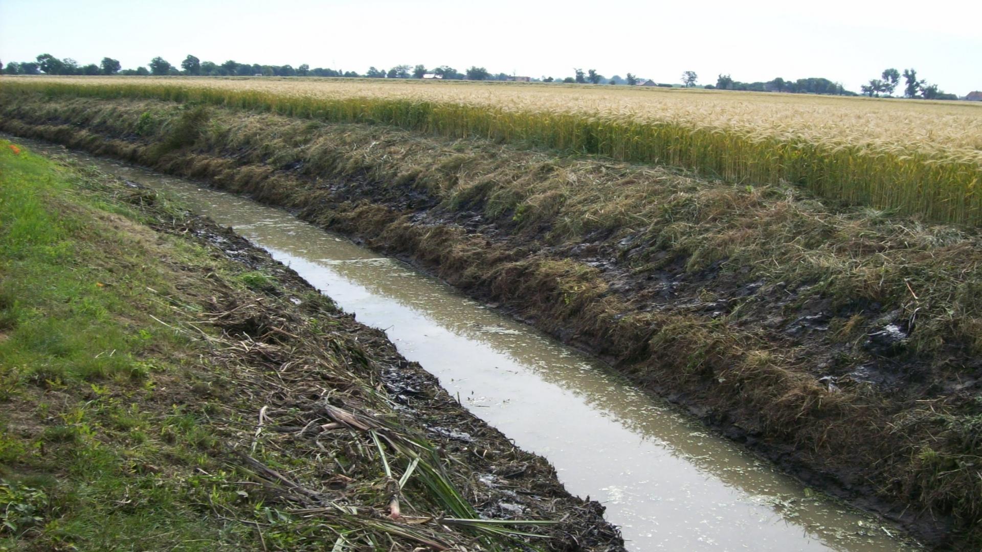 45 tysięcy dla spółek